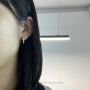 다이아랩 이미지