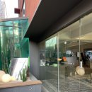 커피 선인장(suninjang) 이미지