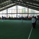진안군 체육회장기 게이트볼경기(2) 이미지