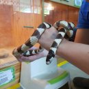 재리쥬 작은동물원 이미지