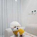 스튜디오보에