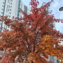 만세공인중개사사무소 이미지