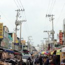 죽도시장 이미지