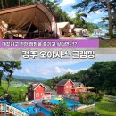 경주 오아시스 글램핑, 캠핑 기분과 물놀이까지 잘 즐긴 개꿀 후기 (feat.카라반 애견펜션)