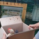 병찬농장 이미지