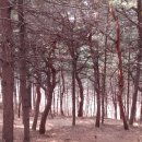 부천둘레길6코스 이미지