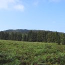 수망리교차로 1 이미지