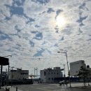 부산 보이차 전문 힐링 찻집 ' 노천 사랑방 ' 광안점