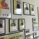 미트365 Daum카페