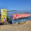 6000냥부페 | 밀양 당일치기 드라이브 코스 추천🤍(+하일용 딸기체험농장)