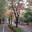 관산5길 티스토리