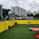 스테이청춘 이미지