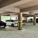 장수버섯마을 이미지