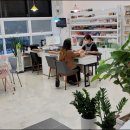 손에핀꽃 이미지