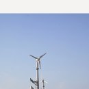 제주 올레길 17코스 이미지