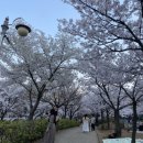 신석체육관 이미지