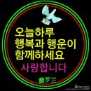 쌍둥이과일