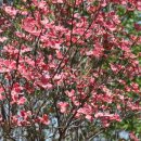 일 농장 이미지