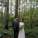 큰무리영어조합법인 | 제주 웨딩스냅 기무스냅｜보정본부터 준비물까지 솔직 후기