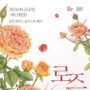 보태니컬 아트 이미지