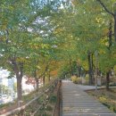 오솔길근린공원 이미지