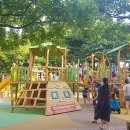 강서어린이공원 이미지