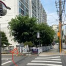 꿈이있는교육동성 | 중랑구 가볼만한 곳 서킷스토리 아카데미 신내점 레이싱게임방 솔직후기 주차