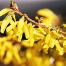 여주설렁탕 이미지