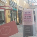 춘심살롱