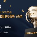 일류가전