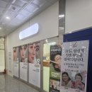 독일피엠쥬스 건강 관리할땐 채우고 비우고 순환시키기