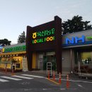 옥산농협주유소 이미지