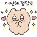 고양스타태권도장 이미지