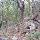 원터목장 이미지