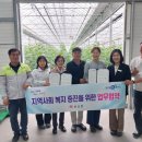 마루농장 대구신문