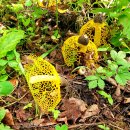 음지마을1 이미지