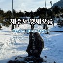 안개길 | 제주 윗세오름 영실코스 등산 후기 | 안개 뚫고 만난 파란 하늘