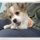 아이조아요양보호소 전남광주점 네이버블로그