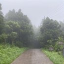 송림스튜디오 이미지