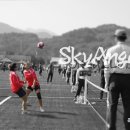 팀스카이 이미지