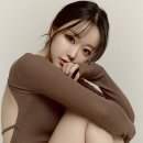 보떼로즈