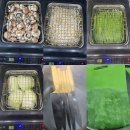 산호동489 | 맘앤맘마창원점-2월25일(금)이유식재료&amp;이유식