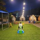 먹핑고 | 파주 먹핑고 캠핑식당 애견동반 파주 바베큐 후기