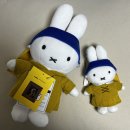 올림푸스한국(주) | [실 관람후기]フェルメール《真珠の耳飾りの少女》展 요하네스 베르메르 《진주 귀걸이를 한 소녀》전...