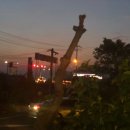 대왕가든 이미지