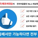 대승전자