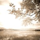 은빛여울목 이미지