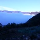 새벽농장 이미지