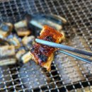 NR-7[새천년대로]-상-8 | 포항 장성동 장어 맛집 우리민물장어에서 보양식 즐기기