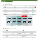 아람동물의료센터 이미지